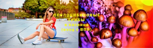 стафф Армянск