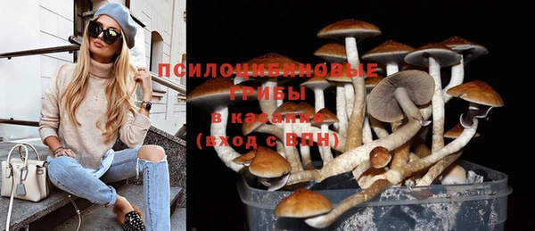 стафф Армянск